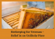 Beekeeping for Veterans